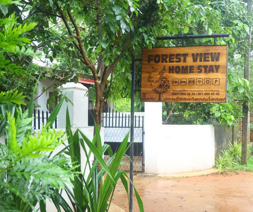 Forest View Home Stay Anuradhapura Exterior foto